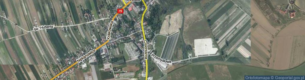 Zdjęcie satelitarne Niecała ul.